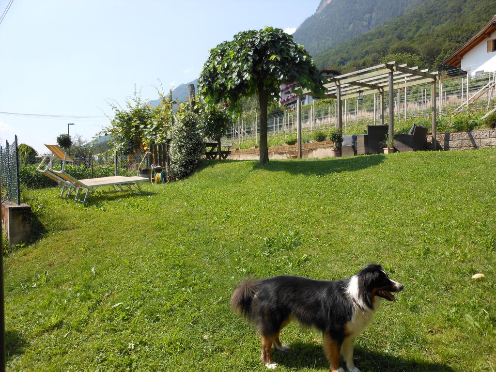 Ferienwohnung Haus Tirol Kaltern Exterior foto